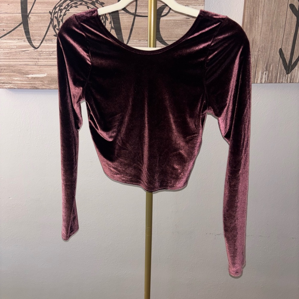 Abercrombie & Fitch Velvet Long-Sleeve Crop Top - Mauve